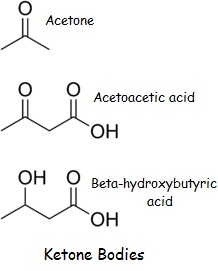 Beta-hydroxybutyrate