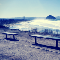 Park Bench Workout Routine For Any Fitness Level