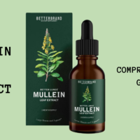 MULLEIN LEAF EXTRACT
