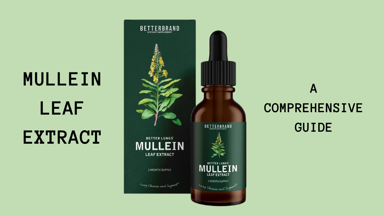 MULLEIN LEAF EXTRACT